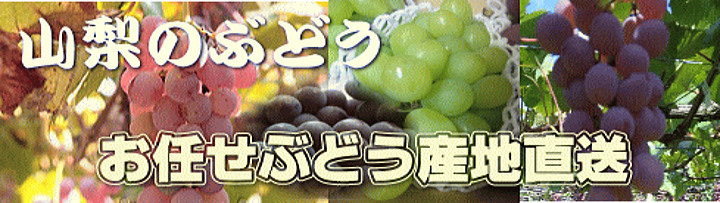 旬のおまかせ3種ぶどうセット